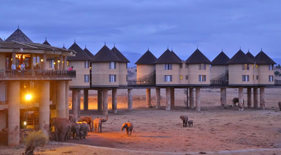 Salt Lick Lodge